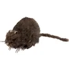 Image de Boland - Decoratie Rat - Horror - Horror