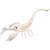 Image de Boland - Decoratie Skelet schorpioen - Horror - Horror
