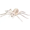 Image de Boland - Spinnenskelet (23 x 16 x 6 cm) - Horror - Horror