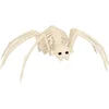 Image de Boland - Decoratie Skelet spin - Horror - Horror