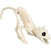 Image de Boland - Decoratie Skelet kat - Horror - Horror