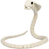 Image de Boland - Decoratie Skelet slang - Horror - Horror