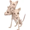 Image de Boland - Decoratie Skelet Cerberus - Horror - Horror