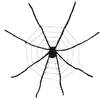 Image de Boland - Spinnenweb met XL spin - Horror - Decoratie - Spookhuis - Trick or Treat