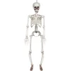 Image de Boland - Decoratie Beweegbaar skelet (L) - Horror;Piraten - Horror- Piraten