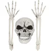 Image de Boland - Set Begraven skelet - Horror - Horror
