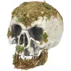 Image de Boland - Schedel Swamp - Horror - Decoratie - Halloween - Spookhuis - Trick or Treat - Skelet - Piraten