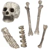 Image de Boland - Set 6 Schedel & beenderen - Horror - Decoratie - Halloween - Spookhuis - Trick or Treat - Skelet - Piraten