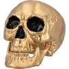 Image de Boland - Schedel Maxilla met beweegbare kaak goud - Horror;Piraten - Halloween - Themafeest