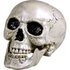 Image de Boland - Schedel Maxilla met beweegbare kaak wit - Piraten;Horror - Piraten- Horror