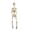 Image de Boland - Decoratie Skelet (L) - Piraten;Horror - Piraten- Horror