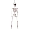 Image de Boland - Decoratie Beweegbaar skelet (M) - Piraten;Horror - Piraten- Horror