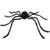 Image de Boland - Decoratie Harige spin Graveweaver - Horror - Horror