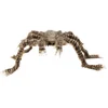 Image de Boland - Decoratie Harige spin Shadebite - Horror - Horror