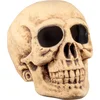 Image de Boland - Schedel Bighead (XL) - Piraten;Horror - Piraten- Horror