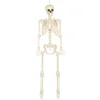 Image de Boland - Decoratie Skelet skinny - Horror - Piraten - Spookhuis - Trick or Treat