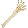Image de Boland - Decoratie Skeletarm - Piraten;Horror - Piraten- Horror