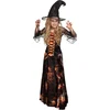 Image de Boland - Kostuum Dazzling witch (7-9 jr) - Kinderen - Heks - Halloween verkleedkleding - Heks