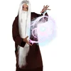 Image de Boland - Pruik Tovenaar Wit - Steil - Lang - Mannen - Tovenaar - Halloween en Horror- Fantasy
