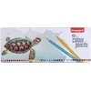 Image de Bruynzeel Schildpad blik 45 kleurpotloden