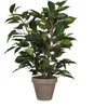 Image de Mica Decorations Ficus Natsja Kunstplant Groen