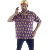 Image de Hawaii shirt met ananas print heren