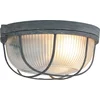 Image de Plafondlamp Lisanne 1342GR Grijs - Dimbaar, E27 fitting, Metaal, Glas - Mexlite - Industrieel Ontwerp (Diameter 17cm, Hoogte 8cm)