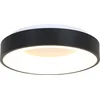 Image de Plafonnière Steinhauer Ringlede Ø48cm Zwart, Modern, Kunststof en Metaal, Binnenverlichting