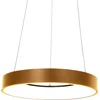 Image de Hanglamp Steinhauer Ringlede - Goud