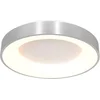 Image de Plafonnier Ringlede 2563ZI Zilver Ø48cm - Modern design van metaal en kunststof voor binnen - Steinhauer