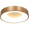 Image de Plafondlamp Ringlede 3086GO Goud Ø30cm Dimbaar, Metalen en Kunststof Design, Steinhauer