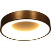 Image de Plafonnieres Ringlede 2563BR Brons Ø48cm - Modern Design van Steinhauer, Gemaakt van Metaal en Kunststof, Geschikt voor Binnengebruik