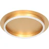 Image de Plafonnieres Ringlux 3655GO gouden plafondlamp Ø32cm met geïntegreerde LED verlichting van Steinhauer