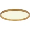 Image de Plafondlamp Flady 3685GO goud Ø40 cm - voor binnen, modern design, van Steinhauer, gemaakt van metaal, kunststof en elektronica