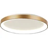 Image de Plafondlamp Ringlede 3691GO Goud dimbaar 2400 Lumen Kunststof Metaal Steinhauer