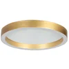 Image de Goudkleurige Plafondlamp Ringlux 4134GO Ø30CM 2000 Lumen Dimbaar Moderne Stijl Steinhauer