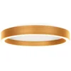 Image de Plafonnière Goudkleurig Ringlux 4135GO Ø40CM LED 3600 Lumen Modern Steinhauer