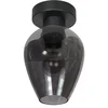 Image de Plafonnier Drovia 4372ZW smoke glas 15 cm hoogte 20 cm metaal zwart Steinhauer modern ontwerp