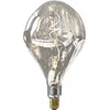 Image de Calex Organic EVO XXL Zilver - E27 LED Lamp - Filament Lichtbron Dimbaar - 6W - Warm Wit Licht