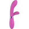 Image de Jingle Fiesta Vibrator