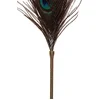Image de Peacock Tickler