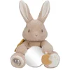 Image de Little Dutch Newborn Naturals Activiteitenknuffel Baby Bunny