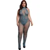 Image de Visnet en Kant Bodystocking - Koninginneformaat