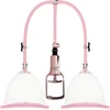 Image de Breast Pump Set Large - Rose Gold