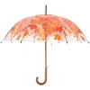 Image de Paraplu boomkroon herfst