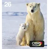 Image de Epson 26 Multipack 4-colours EasyMail