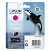 Image de Originele inkt cartridge Epson C13T76034N10 Magenta