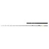 Image de Shimano Fishing Beastmaster Cx Slim Bodemvissen Hengel Zilver 2.29 m / 20-30 Lbs