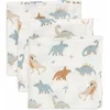Image de Jollein Hydrofiel Monddoekje 31x31cm Roarsome (3pack)