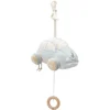 Image de Jollein Baby Muziekhanger - On The Go